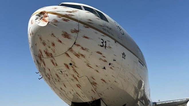 KUŞ SÜRÜSÜNE ÇARPTI