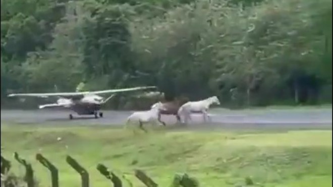 UÇAK ATLARA ÇARPIYORDU!